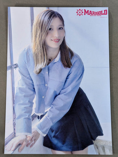 マリーゴールド ポートレート 2枚セット