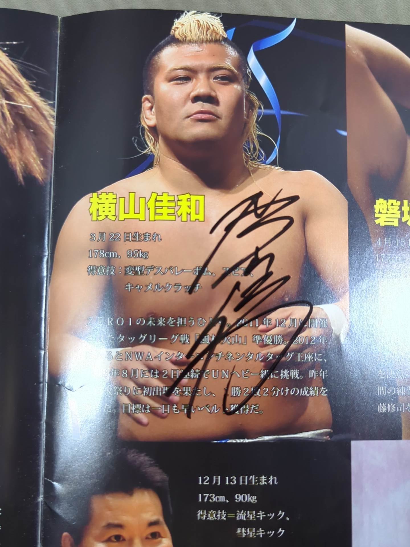 【9選手直筆サイン入り】ZERO1 / ”真夏の祭典” 火祭り2015