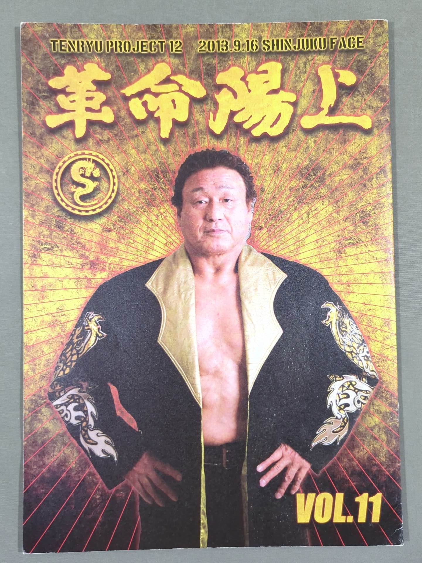 天龍プロジェクト Vol.11 / 革命陽上