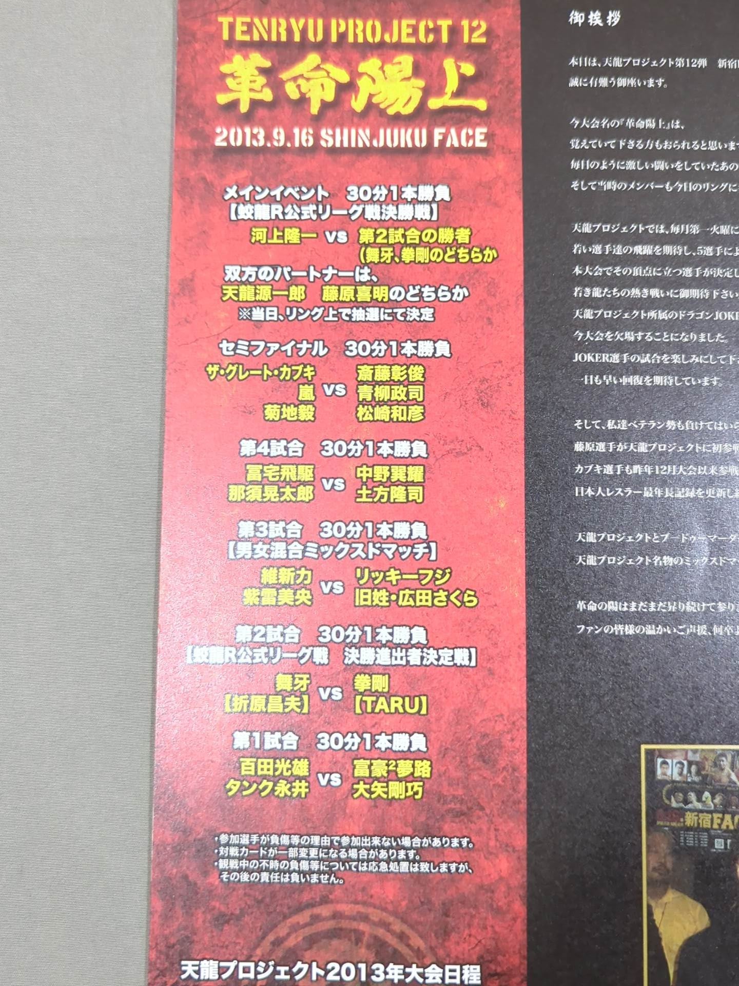 天龍プロジェクト Vol.11 / 革命陽上