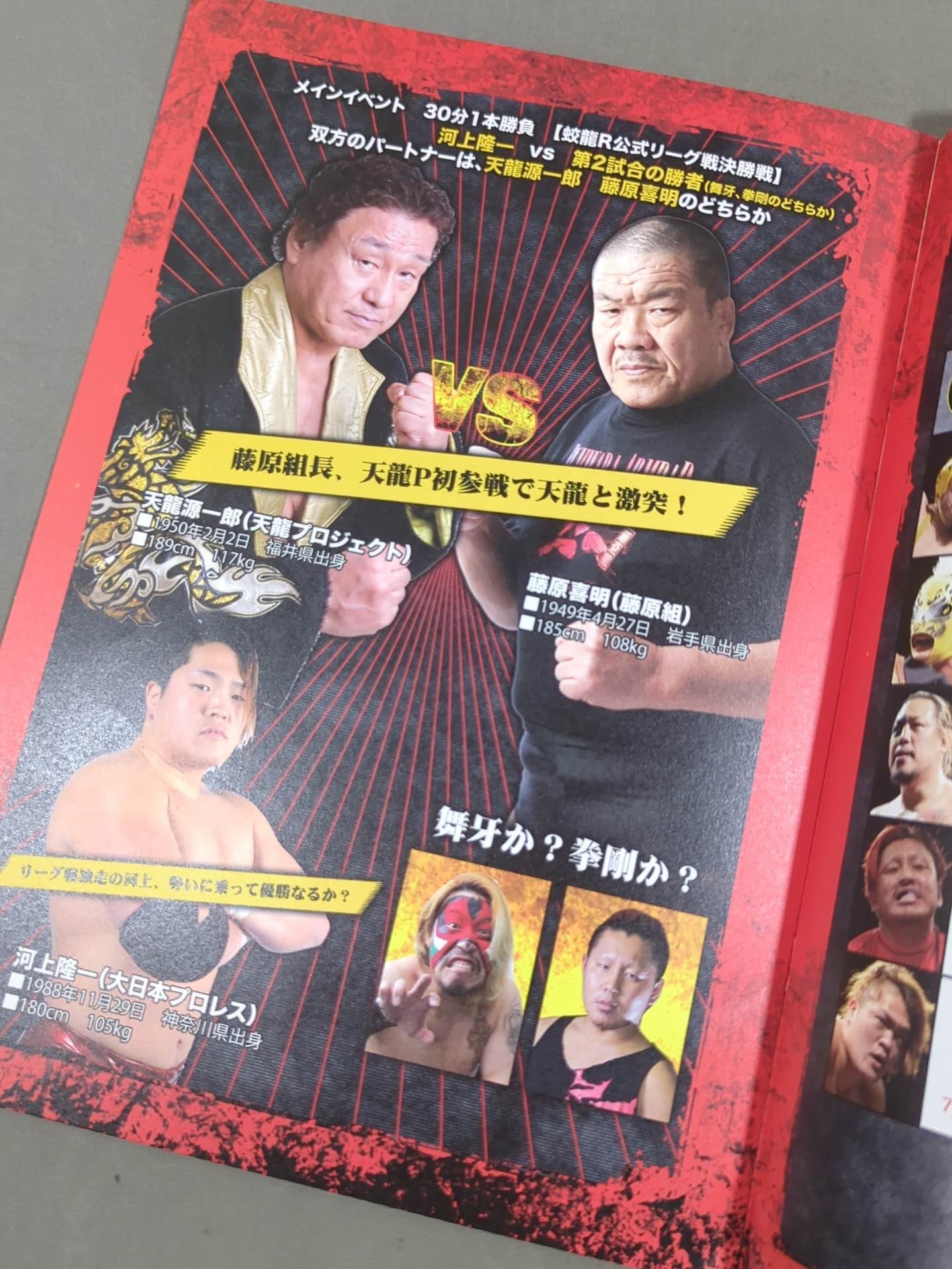 天龍プロジェクト Vol.11 / 革命陽上