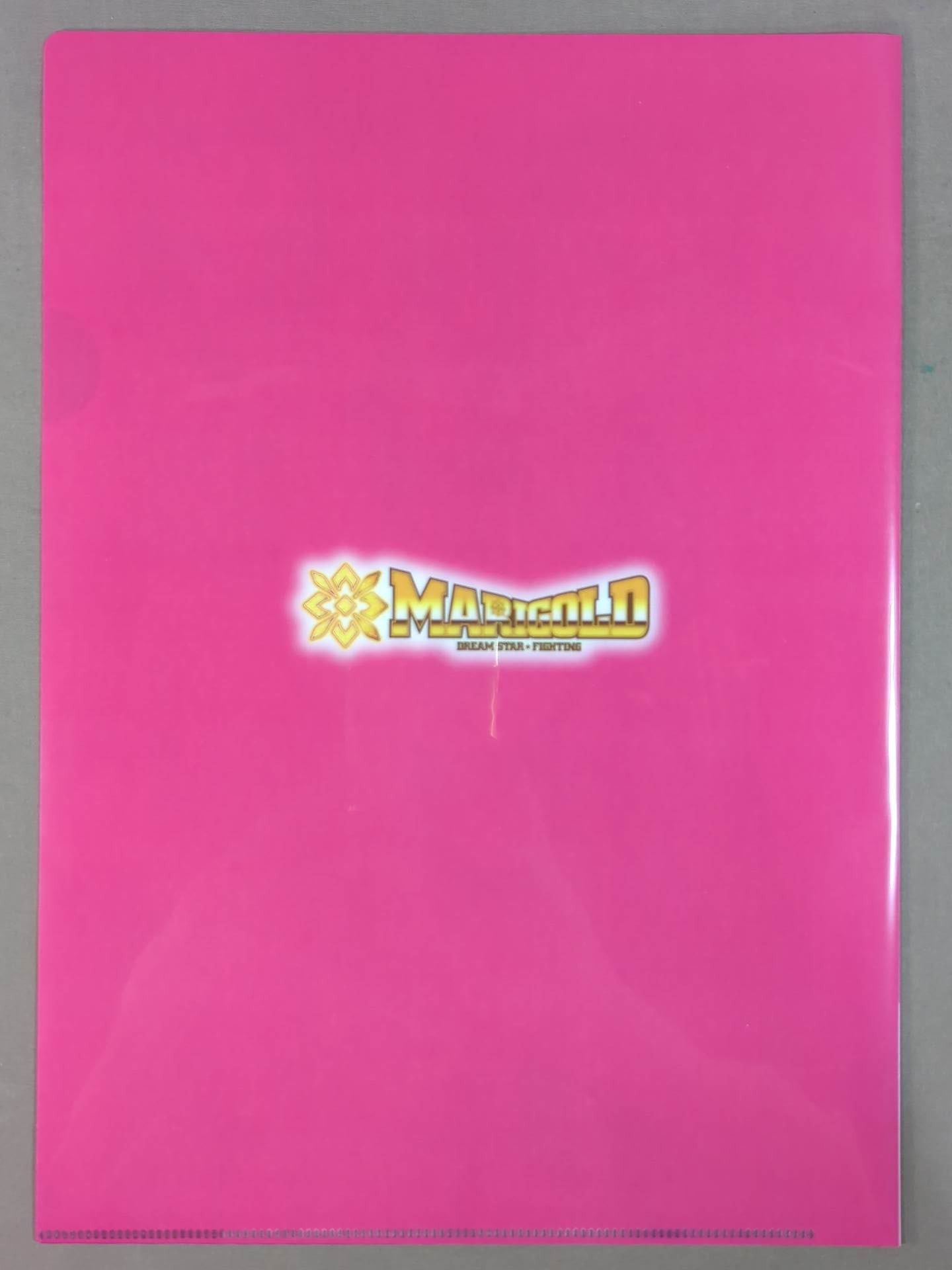 天麗皇希 マリーゴールド SHOP IN SHOP 限定クリアファイル