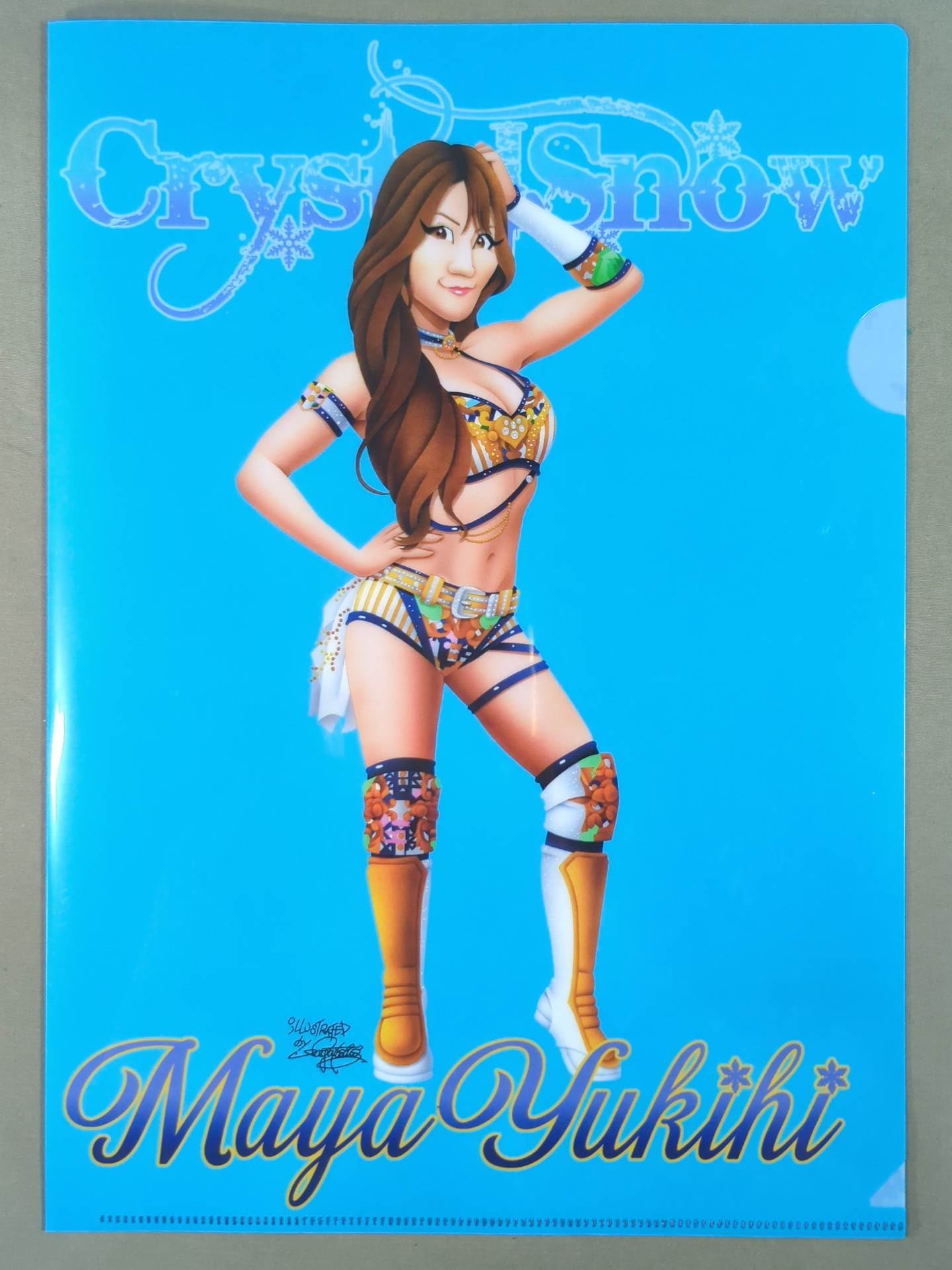 雪妃真矢×坂井永年氏 コラボイラストクリアファイル