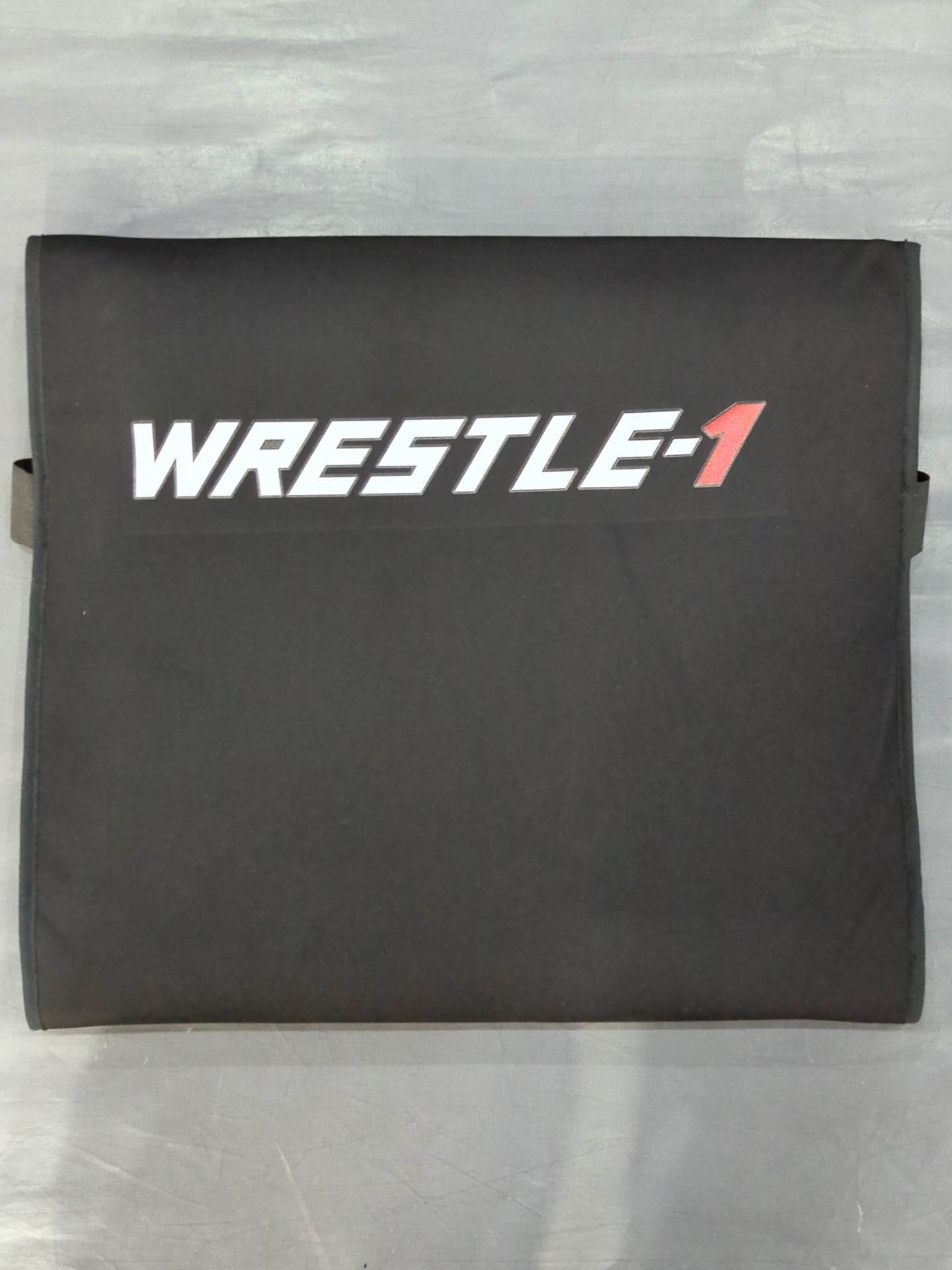 WRESTLE-1 座布団(黒)