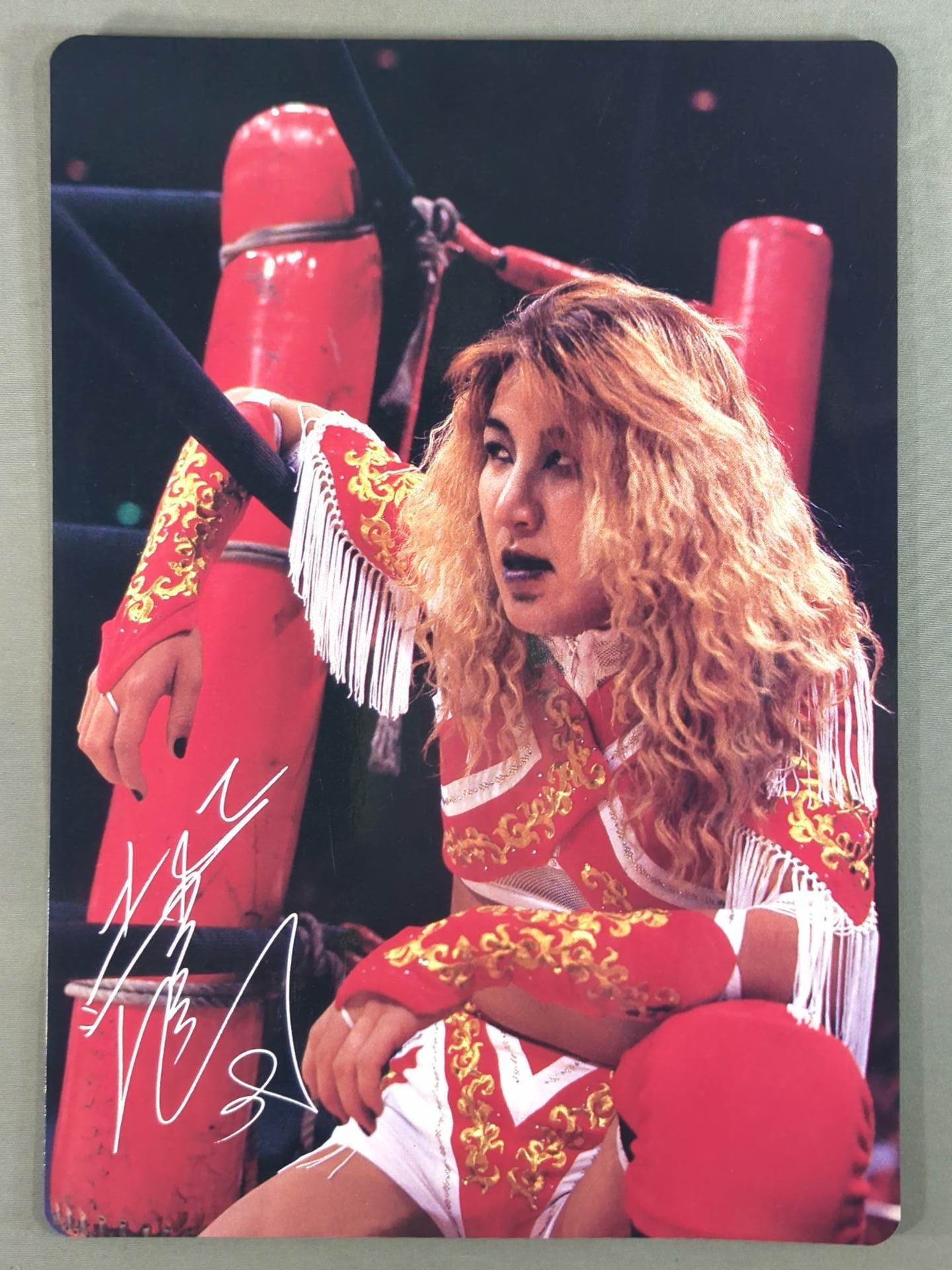 ★非売品★ 北斗晶 下敷き