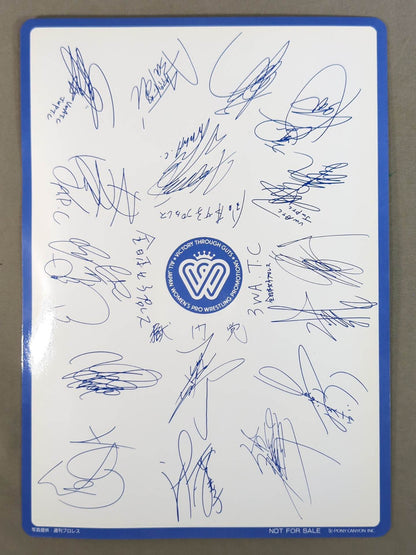 ★非売品★ 北斗晶 下敷き