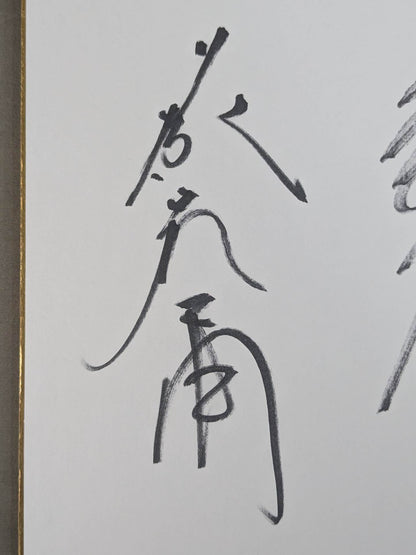 藤波辰爾＆藤原喜明