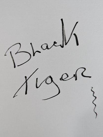 初代ブラックタイガー(ブロマイド貼付)