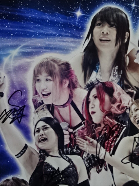 15選手直筆サイン入り】STARDOM 『スターダム10周年記念日』 – 闘道館