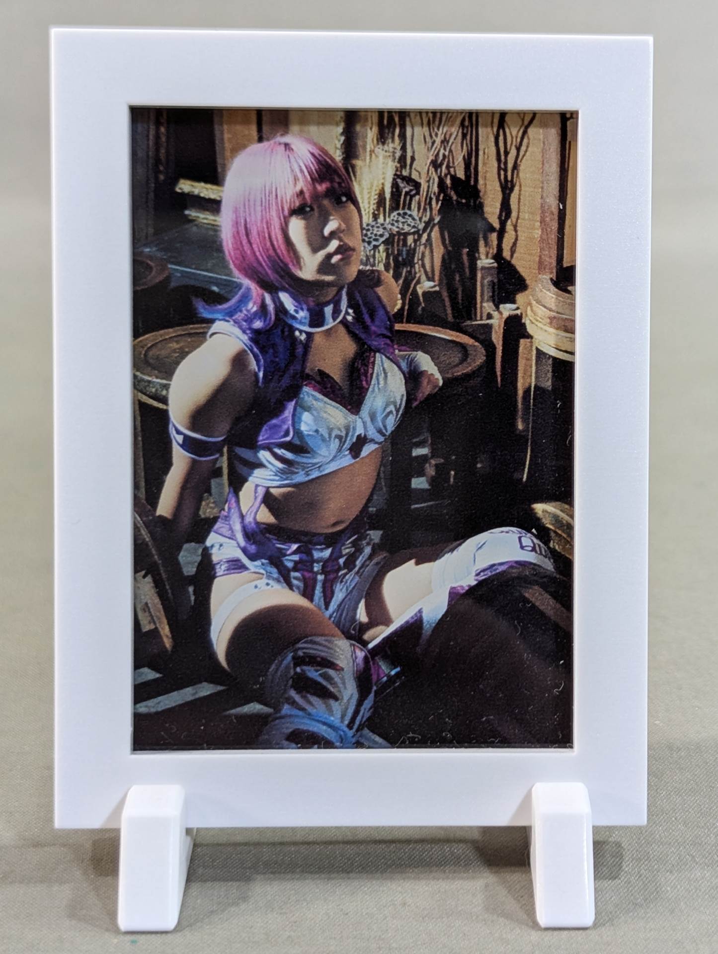 AZM Pro-Photo Frame Magnets