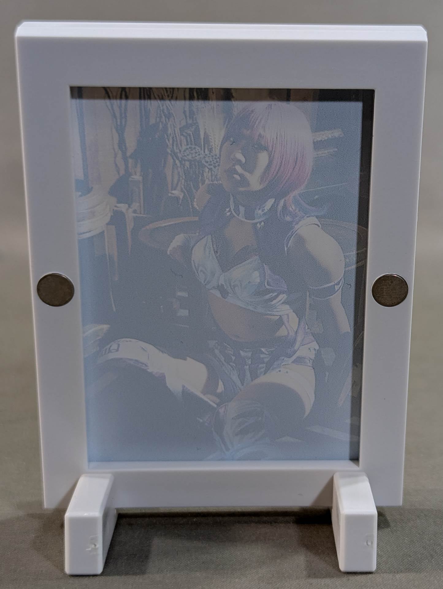 AZM Pro-Photo Frame Magnets