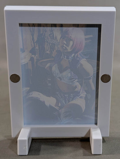 AZM Pro-Photo Frame Magnets