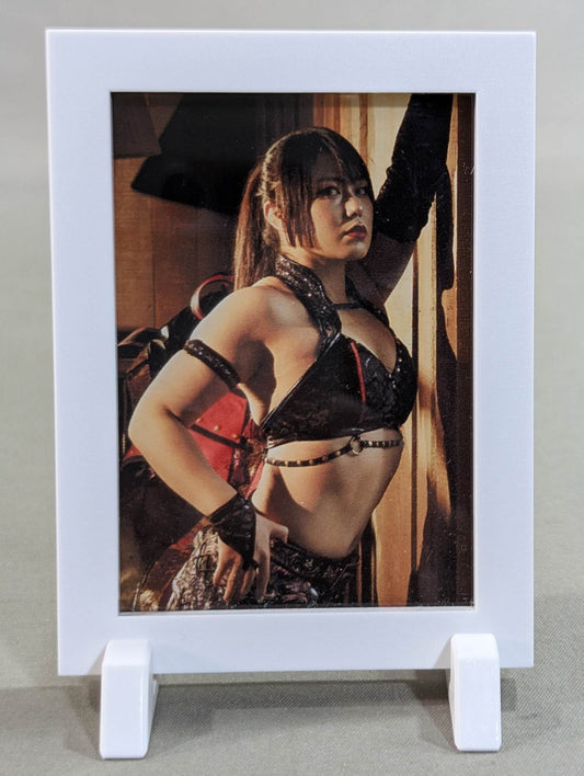 Maika  Pro-Photo  Frame Magnet