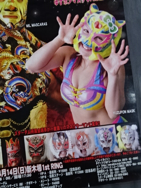 STARDOM MASK FIESTA 2013