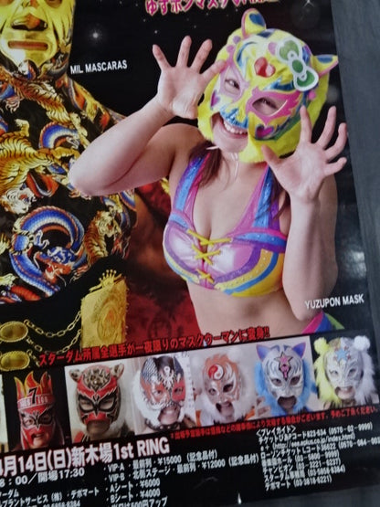 STARDOM MASK FIESTA 2013