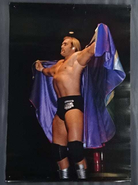 Hulk Hogan Posters(2)