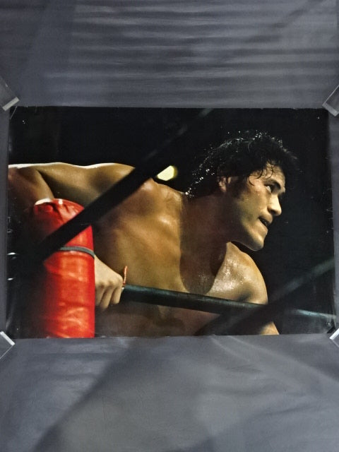 Antonio Inoki  Posters(3)