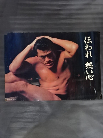 Antonio Inoki  Posters(4)