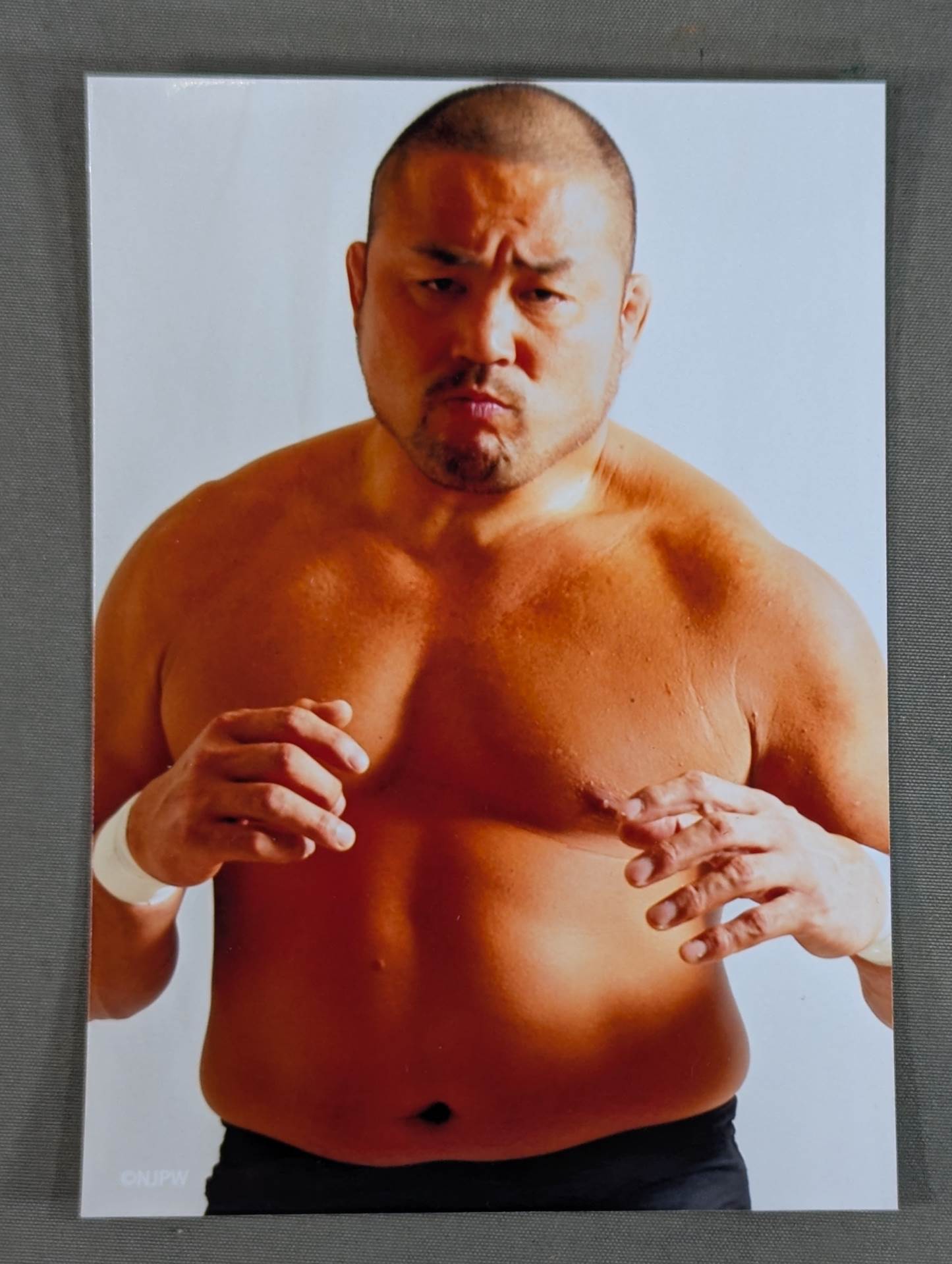 中西学(ライオンマーク色紙・ブロマイド付)