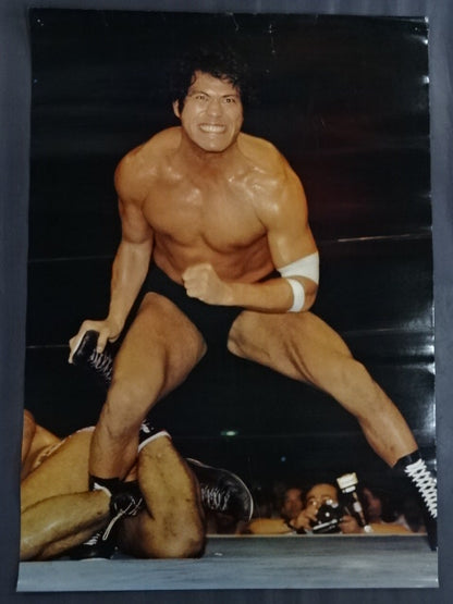 Antonio Inoki  Posters(5)