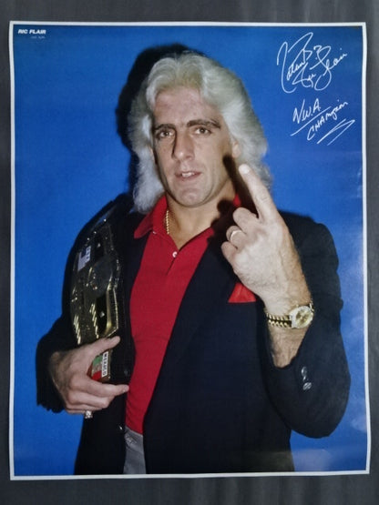 Rick Flair GONG JUMBO PIN-UP Wrestling  SELECTION
