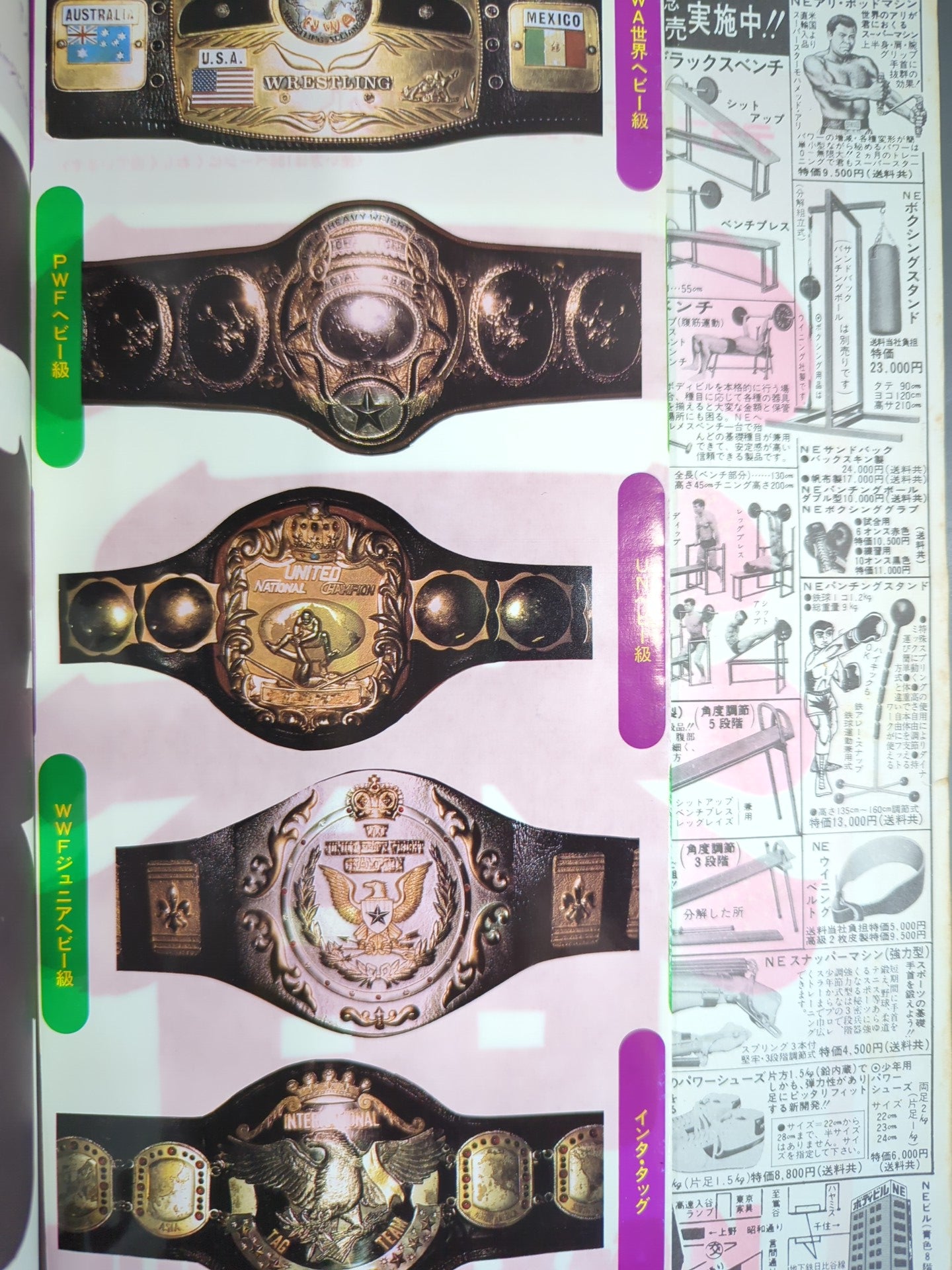 Deluxe Pro Wrestling November 1982