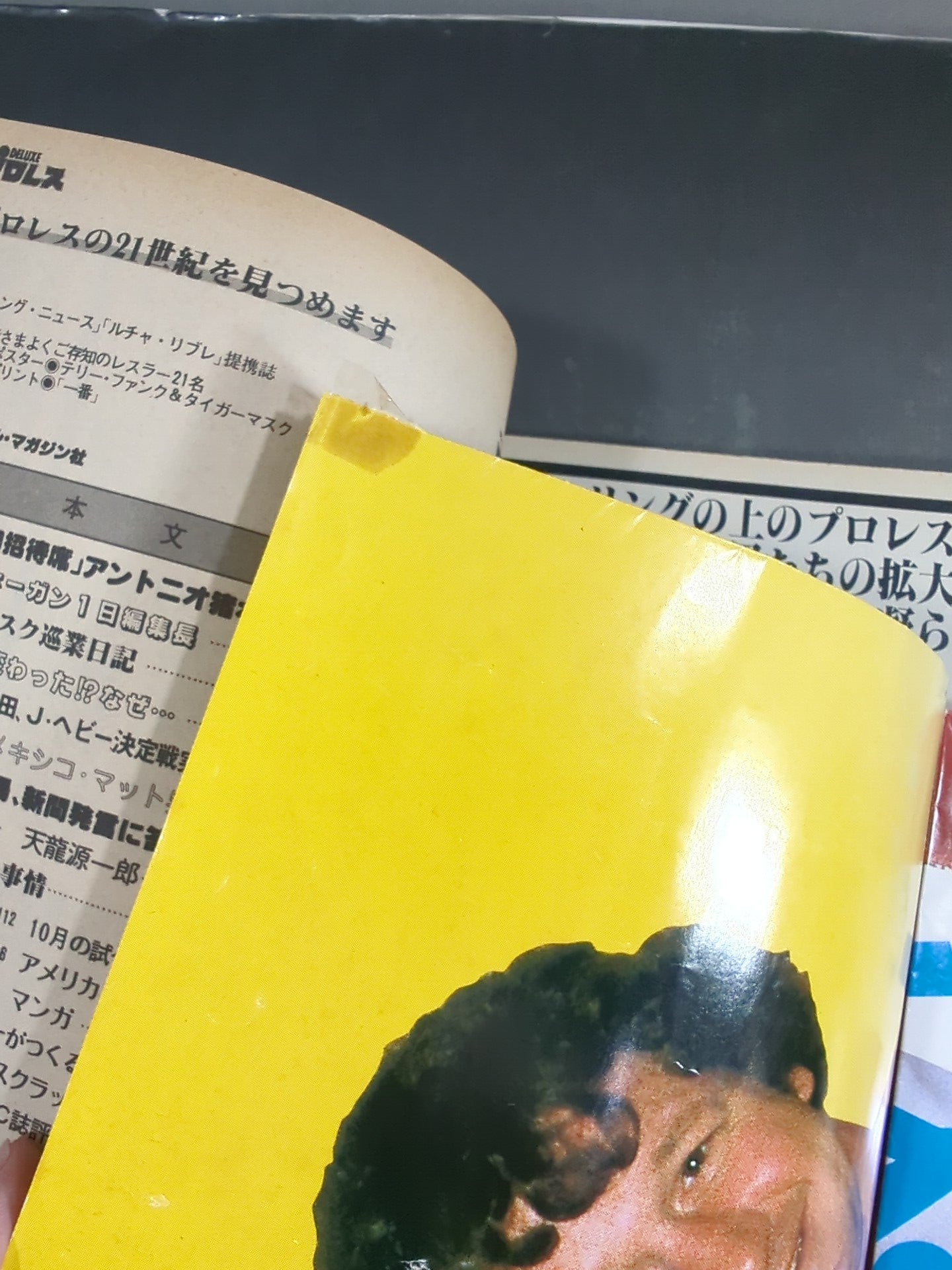 Deluxe Pro Wrestling November 1982