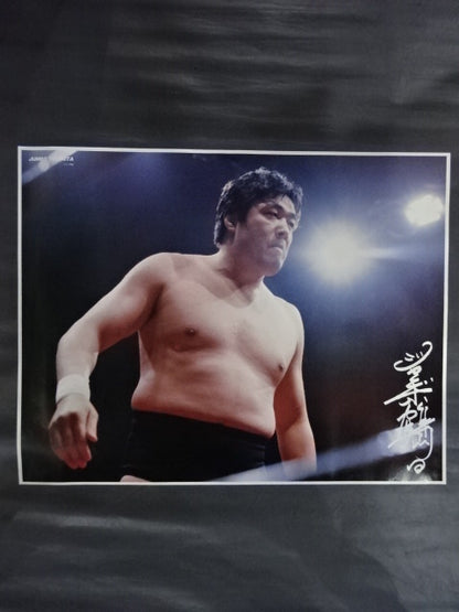 GONG JUMBO PIN-UP Wrestling  SELECTION