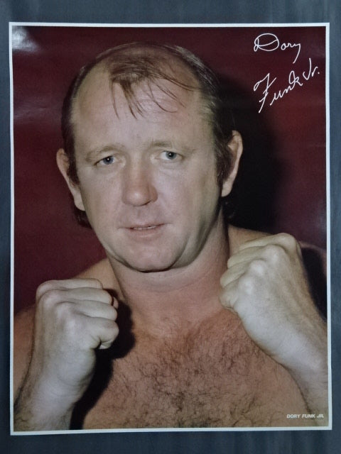 Dory Funk Jr.  GONG JUMBO PIN-UP Wrestling  SELECTION