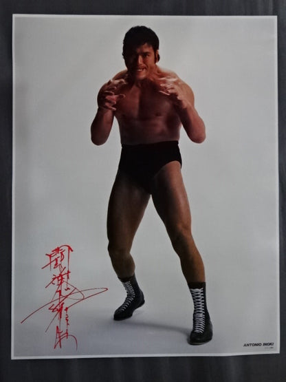 Antonio Inoki  GONG JUMBO PIN-UP Wrestling  SELECTION