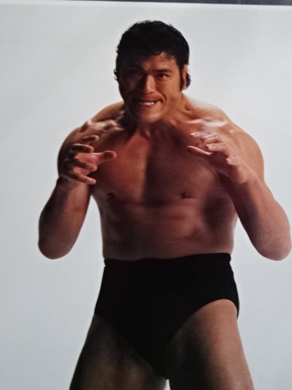 Antonio Inoki  GONG JUMBO PIN-UP Wrestling  SELECTION