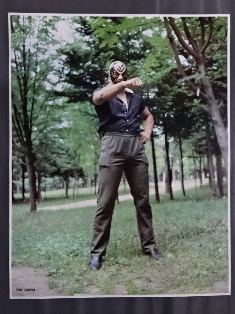 11月22日 – Page 5 – 闘道館