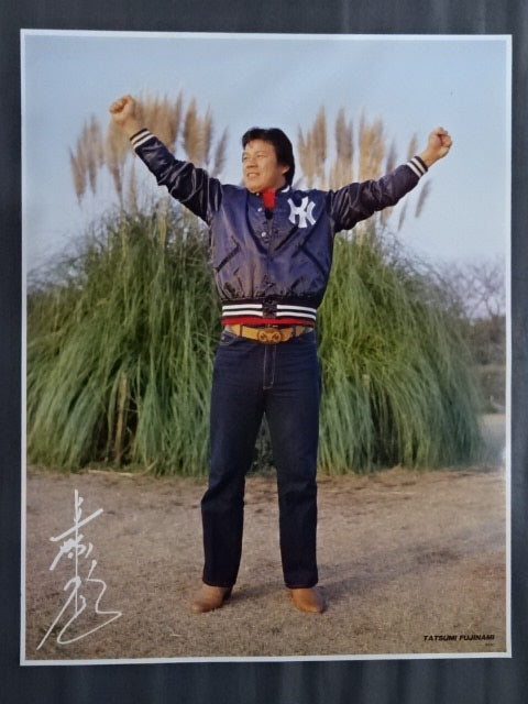 Tatsumi Fujinami  GONG JUMBO PIN-UP Wrestling  SELECTION