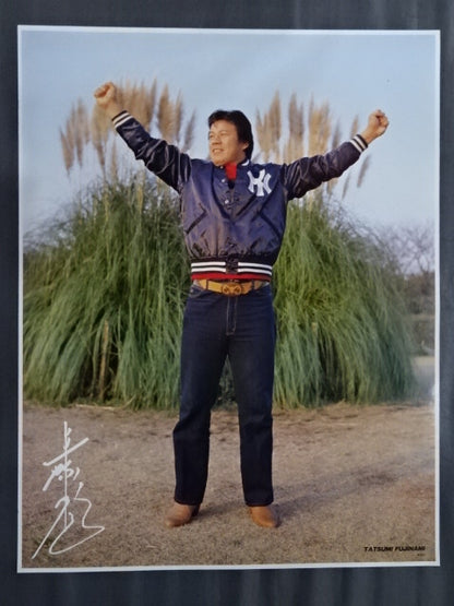 Tatsumi Fujinami  GONG JUMBO PIN-UP Wrestling  SELECTION