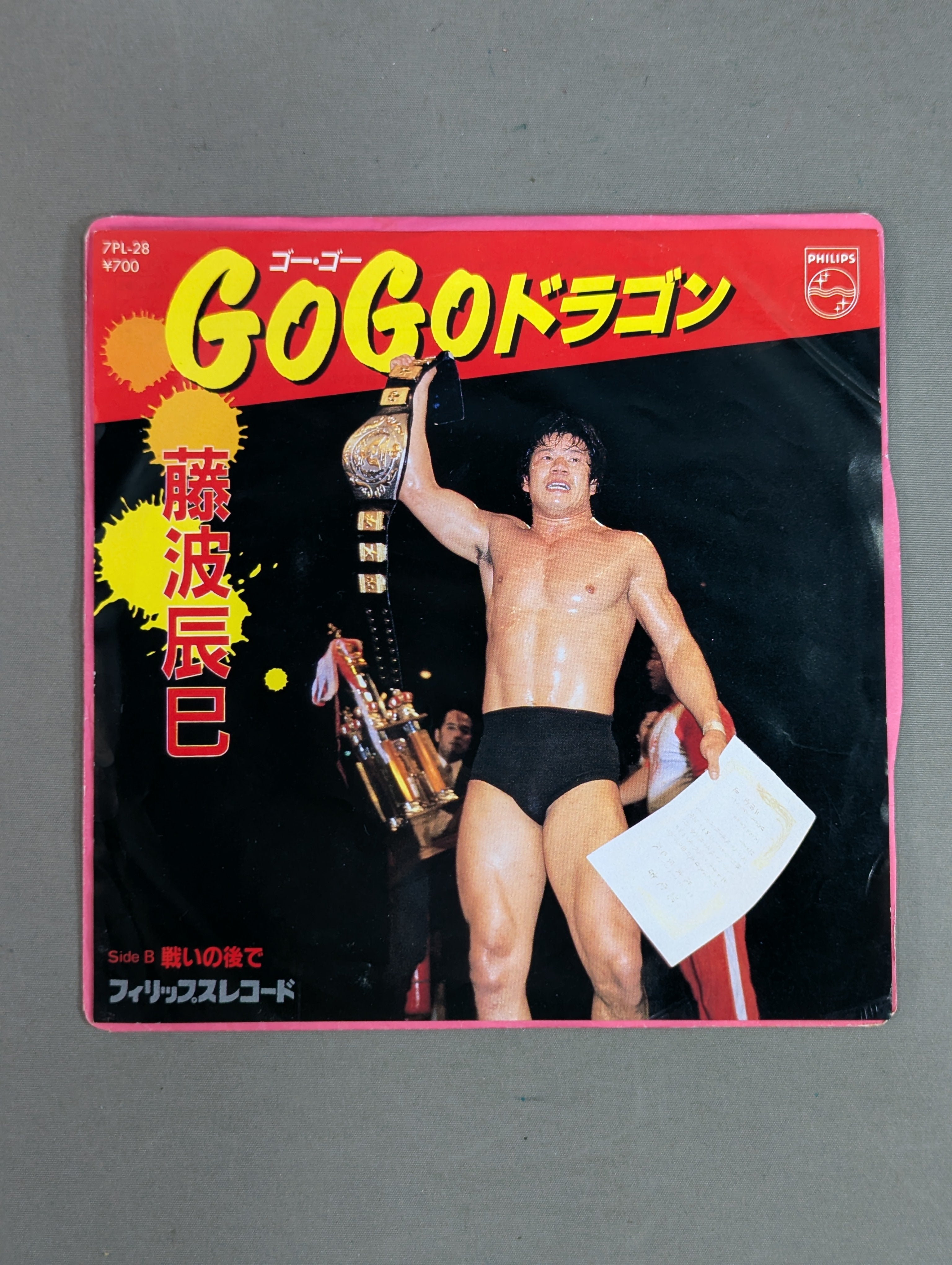 GoGoドラゴン / 藤波辰巳 – 闘道館