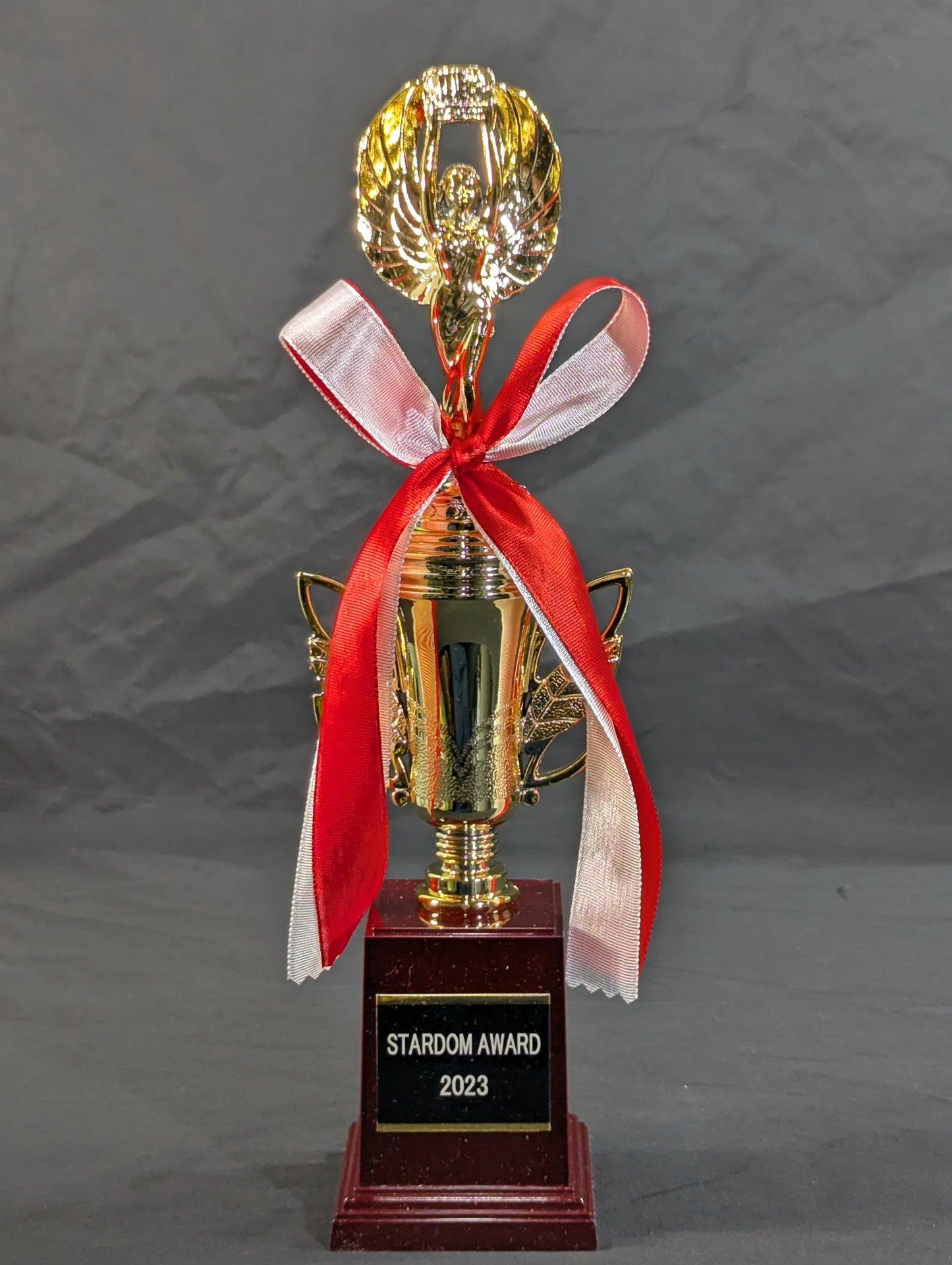 ★STARDOM AWARD 2023★ Replica Commemorative Trophy
