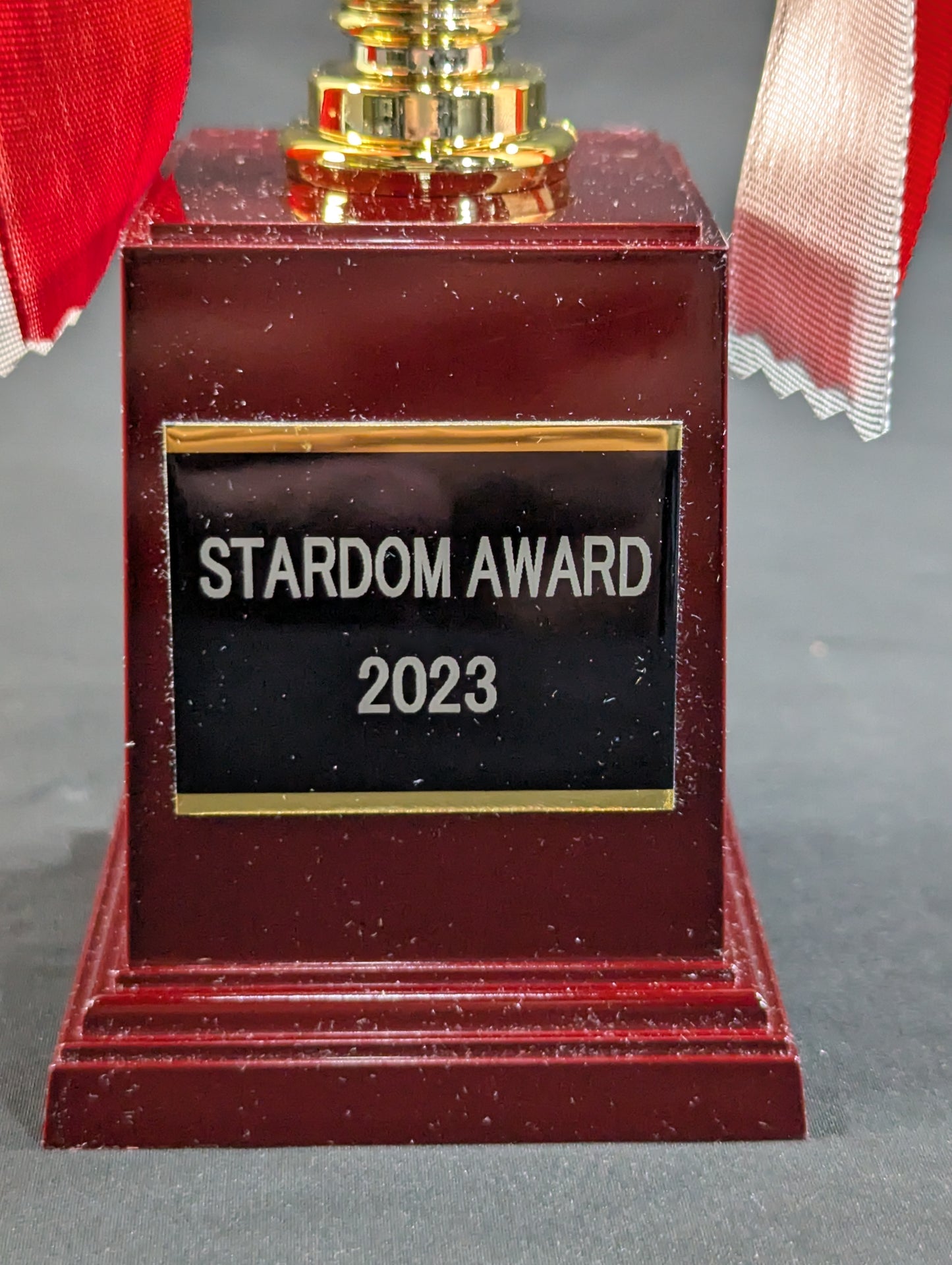★STARDOM AWARD 2023★ Replica Commemorative Trophy