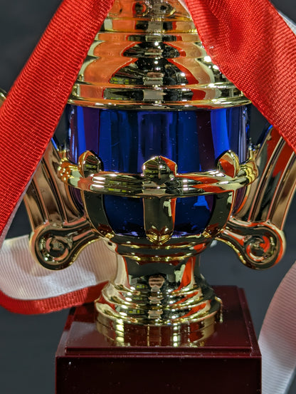 ★STARDOM AWARD 2020★ Replica Commemorative Trophy