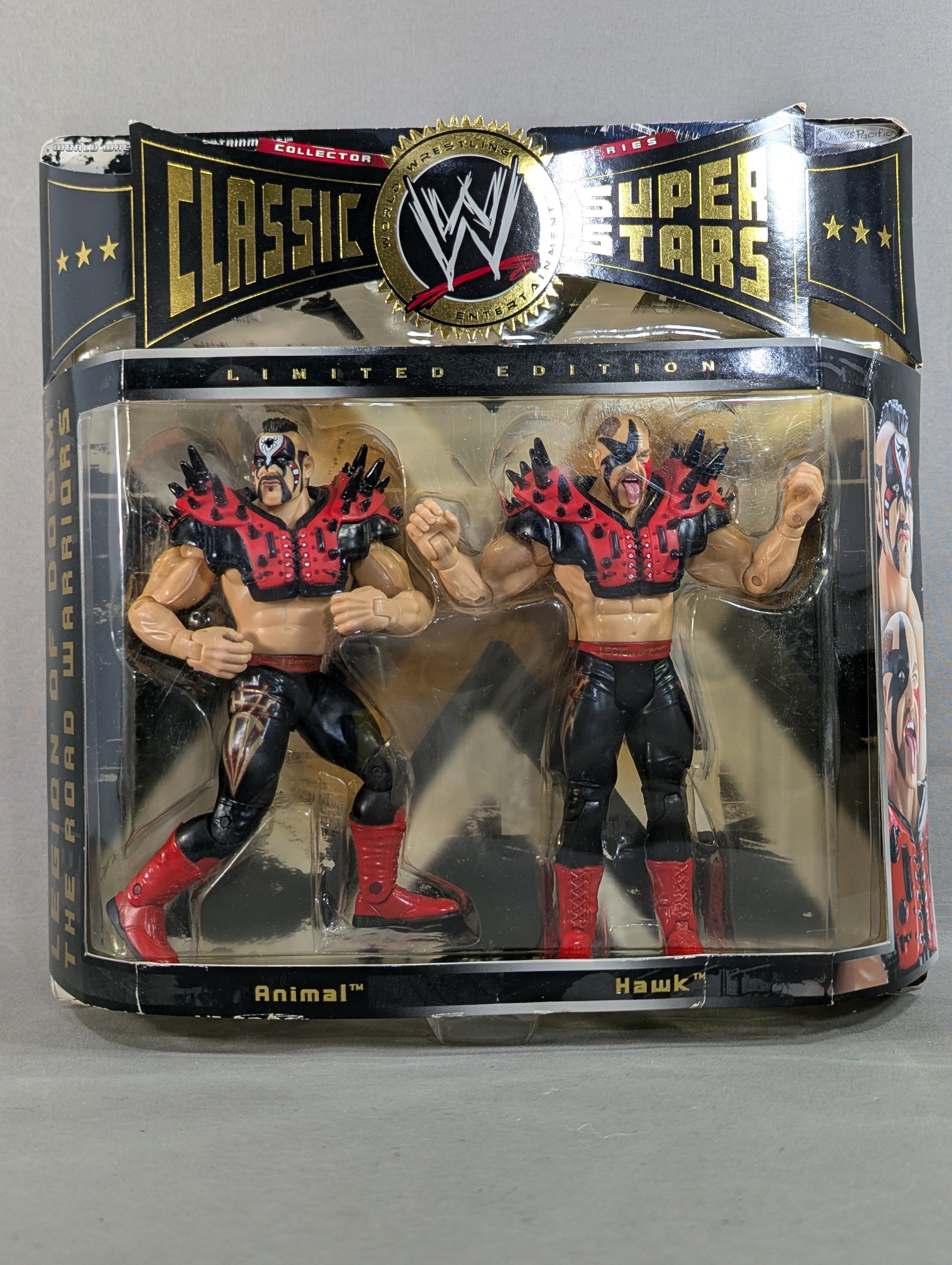 リージョン・オブ・ドゥーム(ホーク&アニマル) – 闘道館