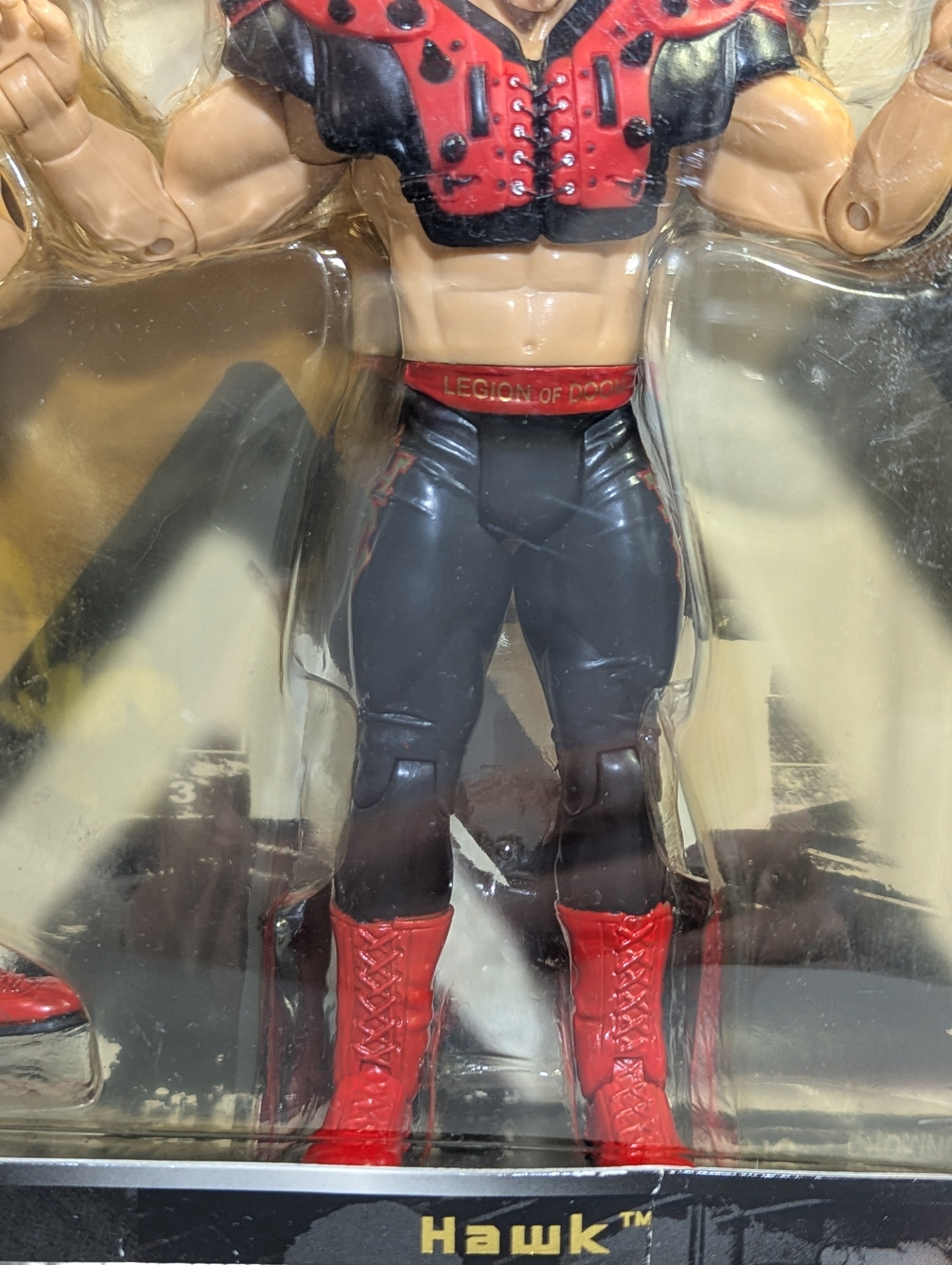 リージョン・オブ・ドゥーム(ホーク&アニマル) – 闘道館