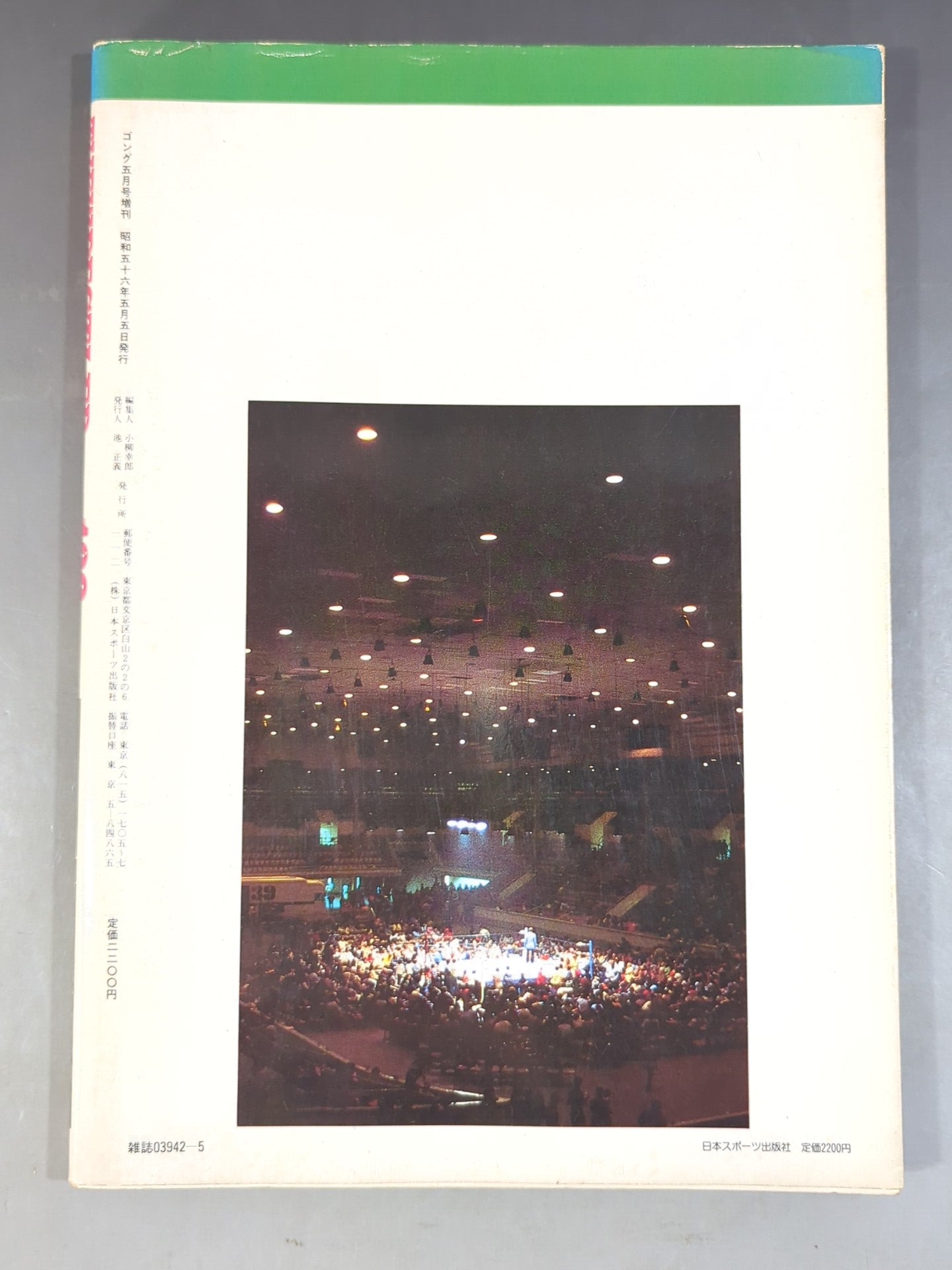 ゴング増刊号 THE WRESTLER BEST100 【永久保存版】