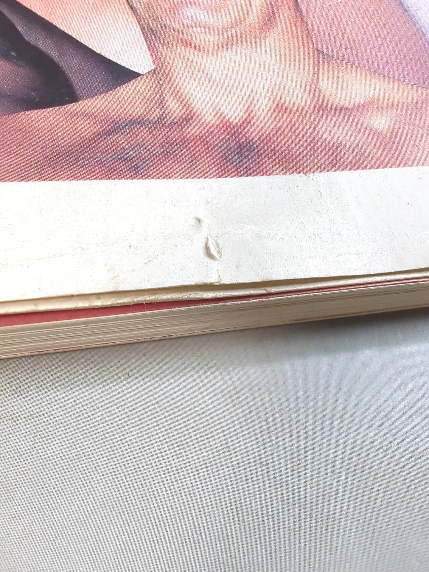 Gong Extra Issue THE WRESTLER BEST100 [Permanent Preservation Edition]