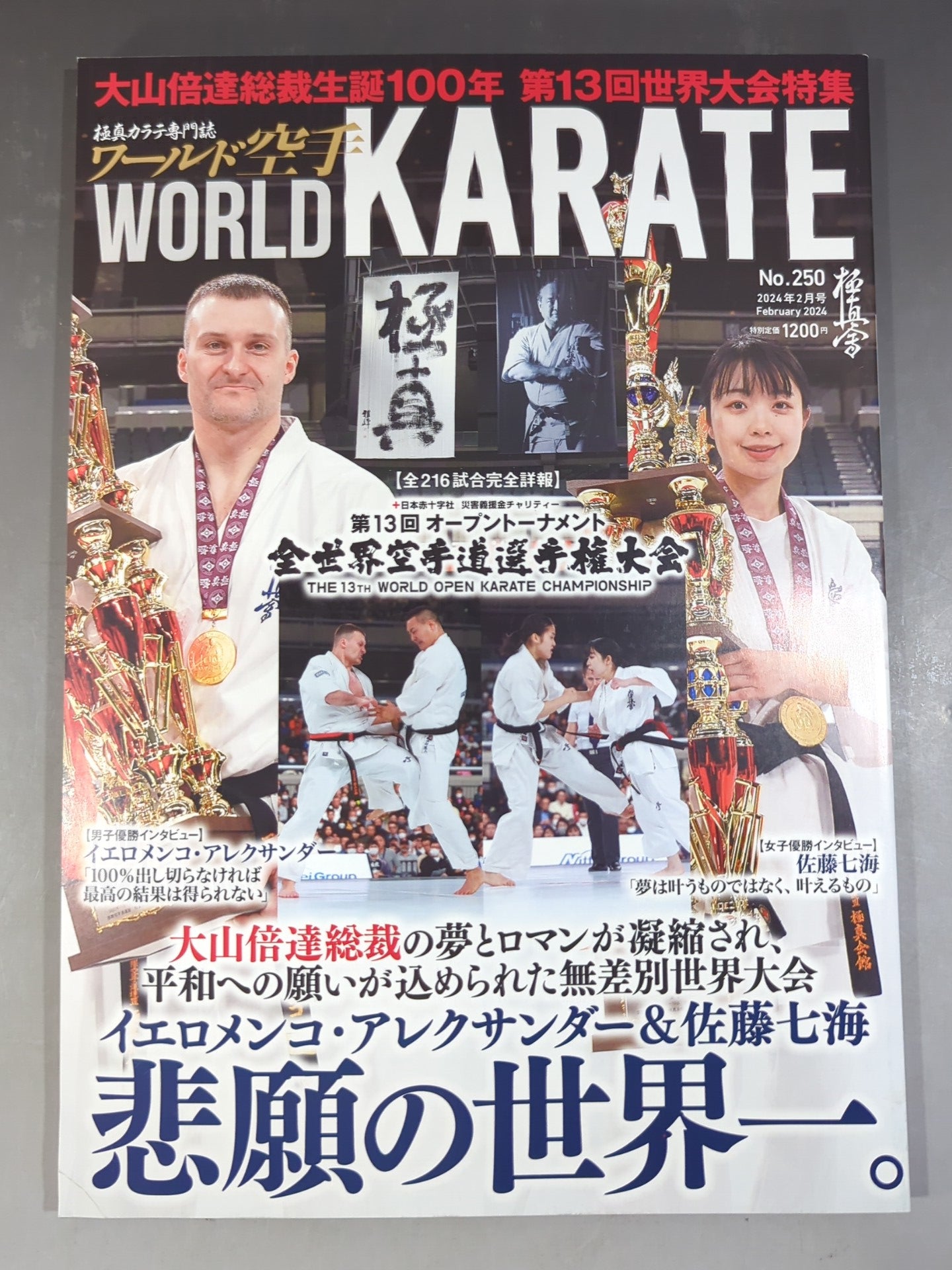 ワールド空手250