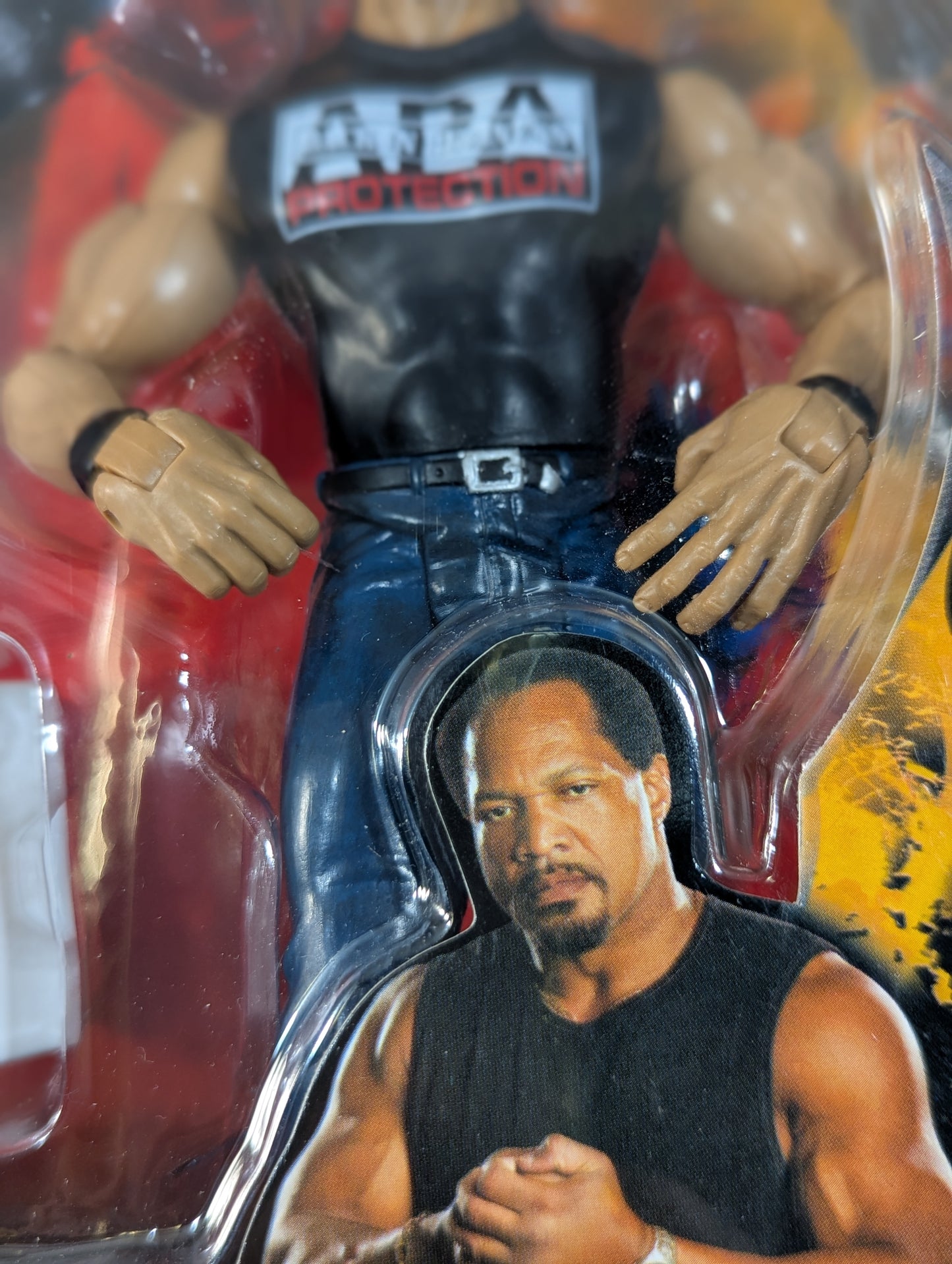 ★APA★ ブラッドショー＆ファルーク