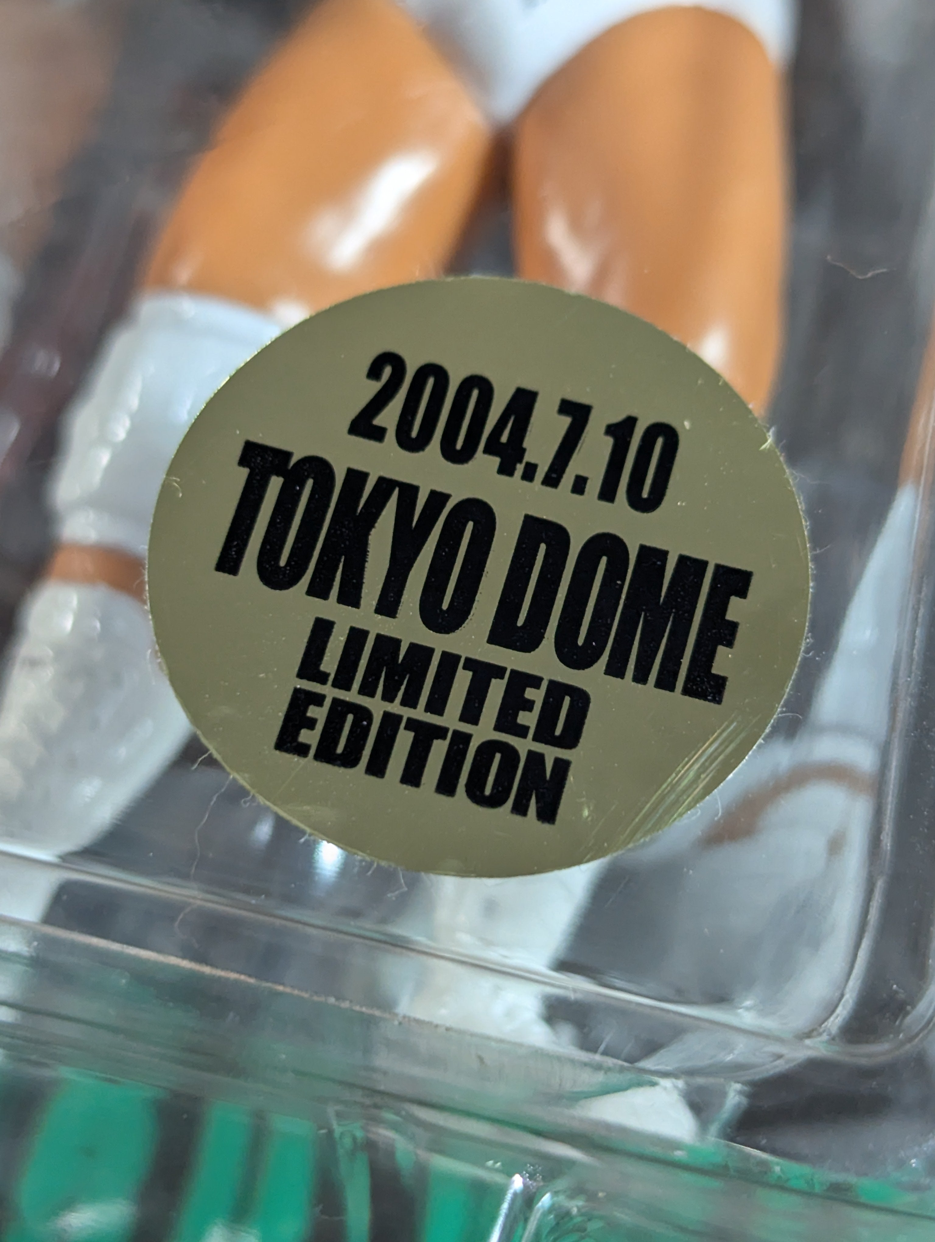 ☆2004.7.10 東京ドーム限定☆ 小橋建太vs秋山準 – 闘道館
