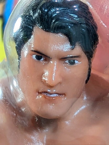 アントニオ猪木(旗揚げオープニングシリーズ)