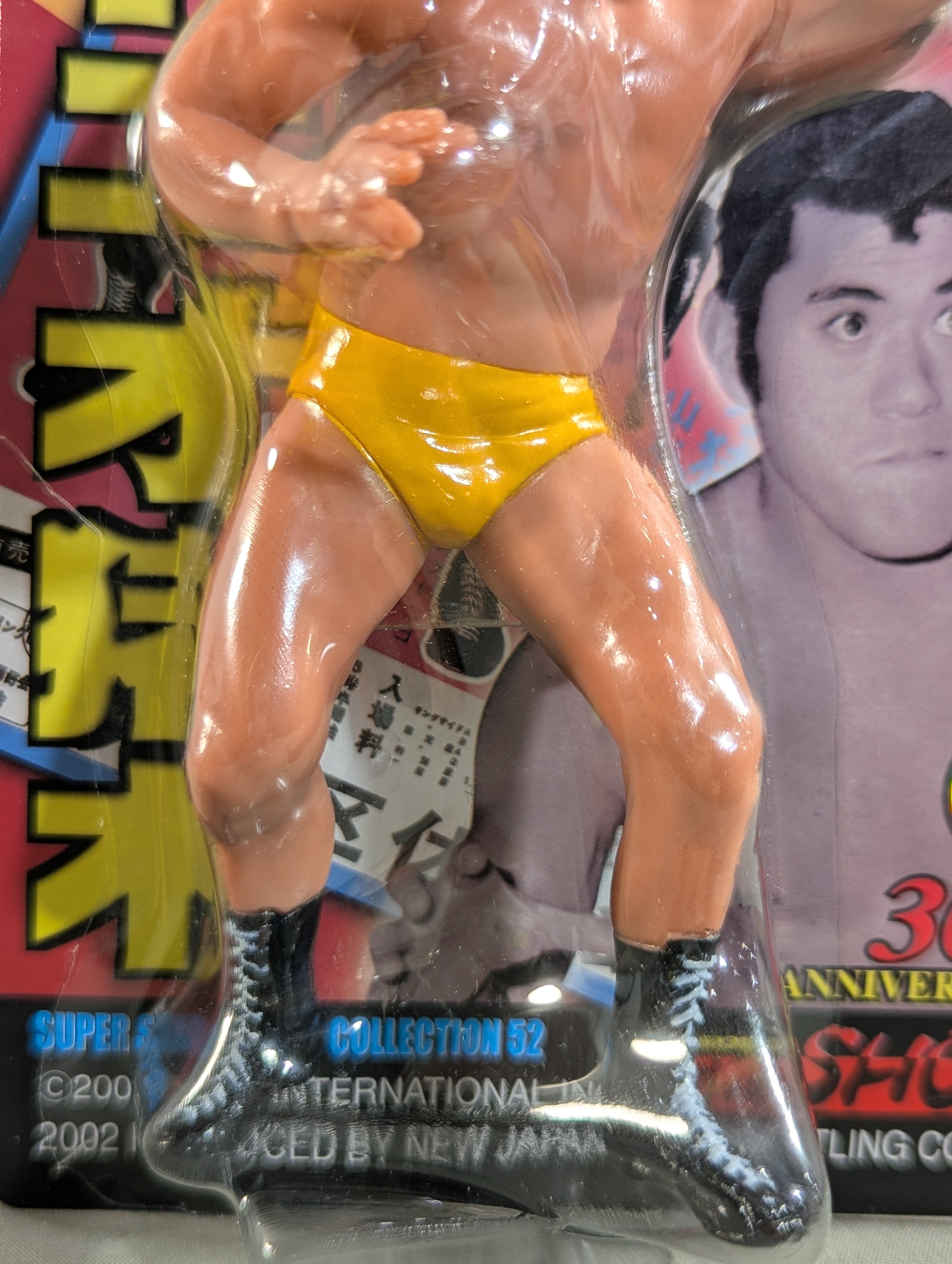 アントニオ猪木(旗揚げオープニングシリーズ) – 闘道館