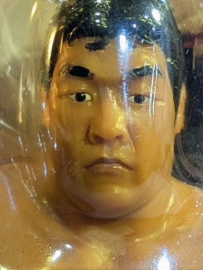 ジャンボ鶴田(カード:三冠カード)