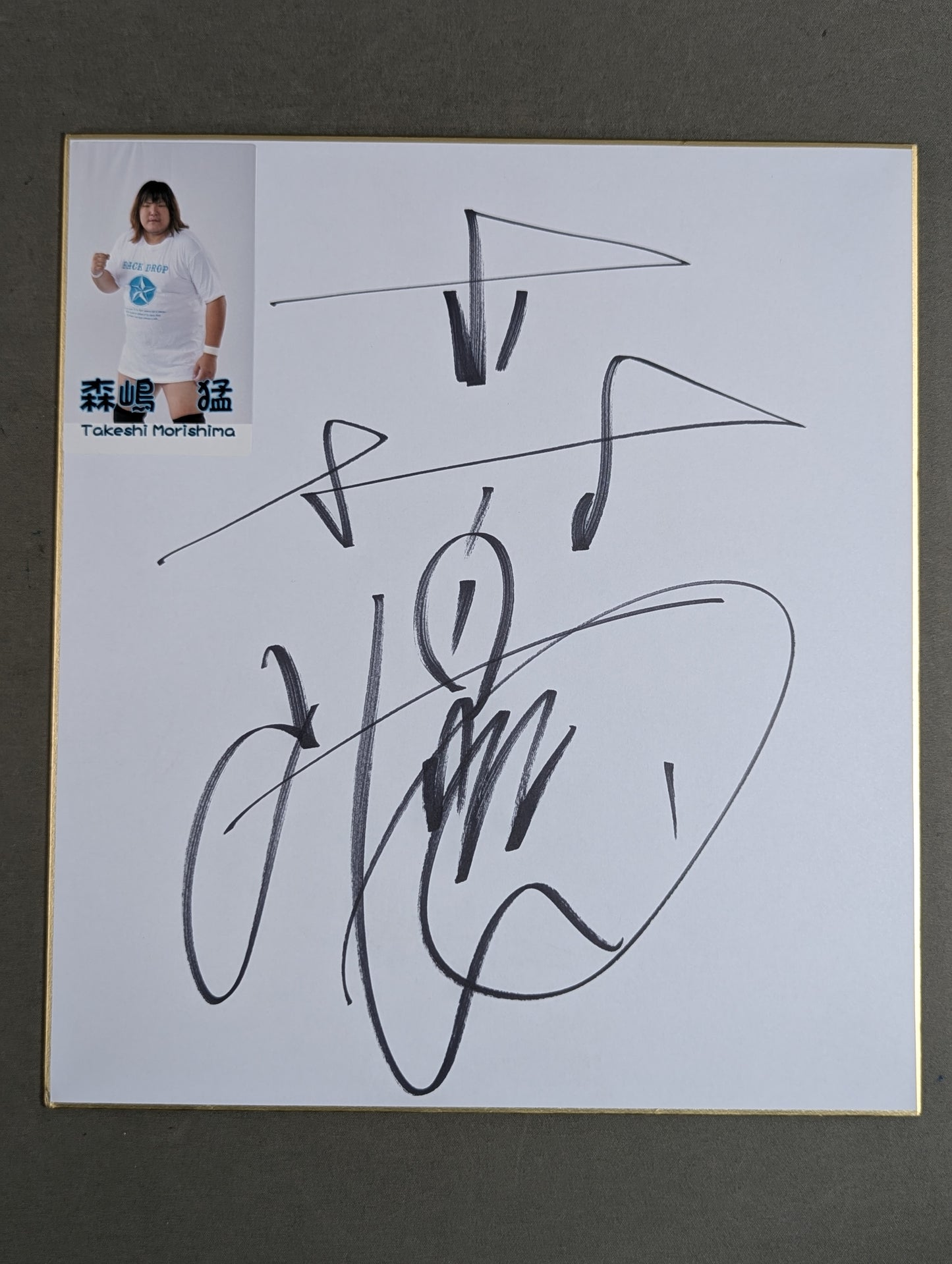 NOAH Shikishi ( Autograph board ) set (photo ) Sticker ) (4)