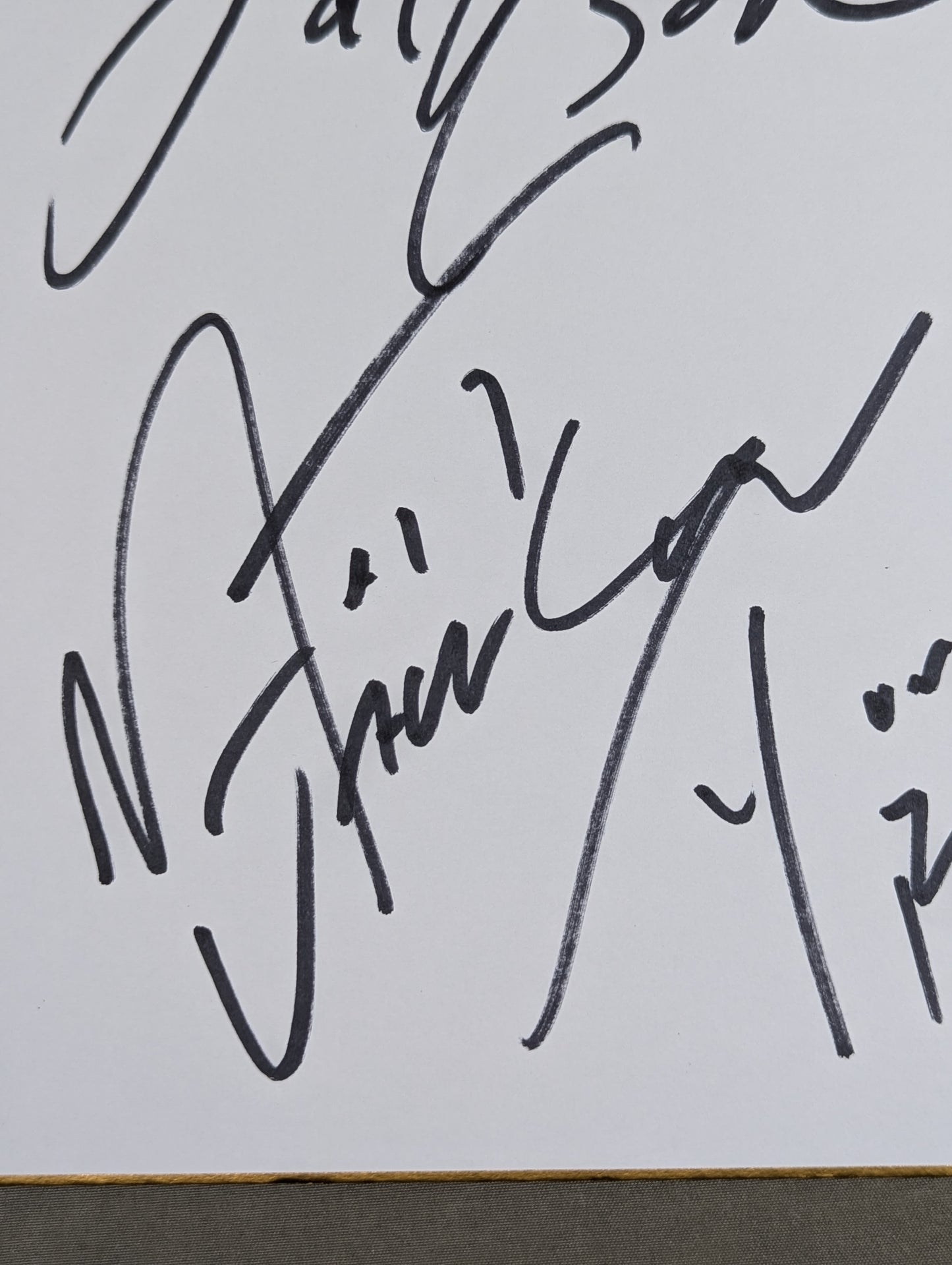 ★ Young Bucks ★ Matt Jackson & Nick Jackson (with photos)